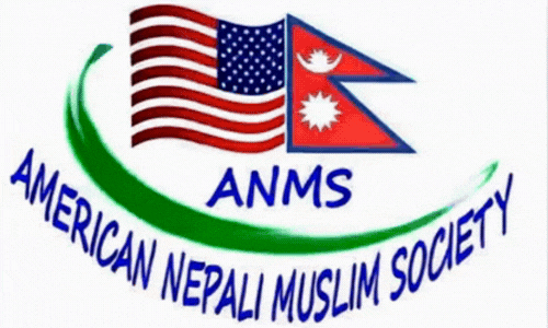 anms logo